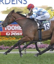 Nuptse just got through to win at Rosehill<br>Photo by Racing and Sports